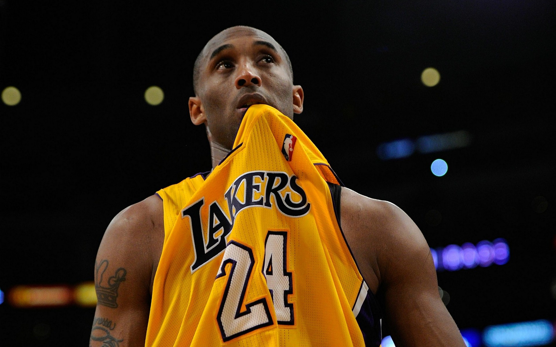 不仅拥有全 不仅拥有全