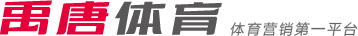 不可忽视的 不可忽视的